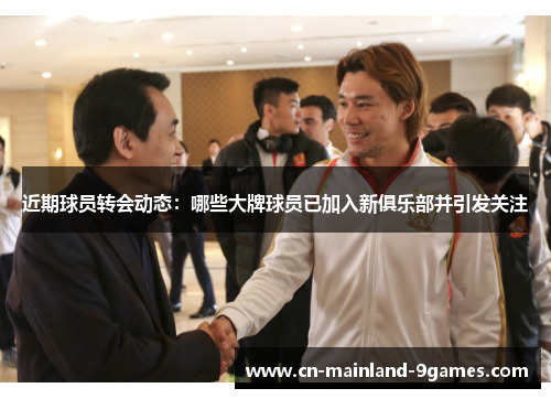 近期球员转会动态：哪些大牌球员已加入新俱乐部并引发关注