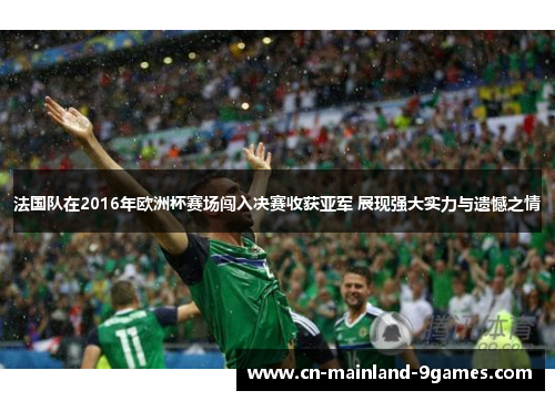 法国队在2016年欧洲杯赛场闯入决赛收获亚军 展现强大实力与遗憾之情